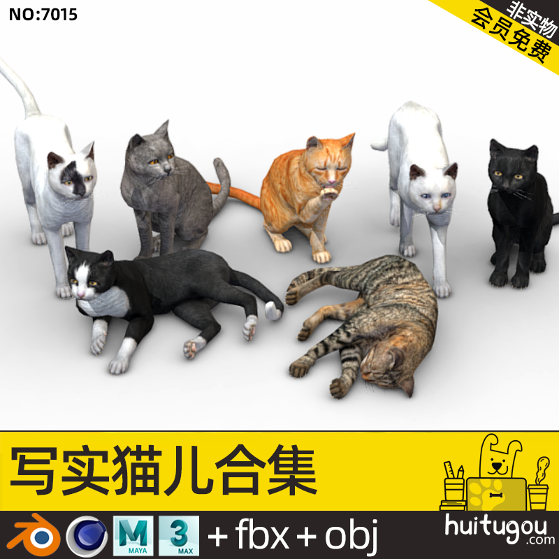 静态小猫模型C4D写实猫咪Blender黑白灰色豹猫儿OBJ格式FBX源文件