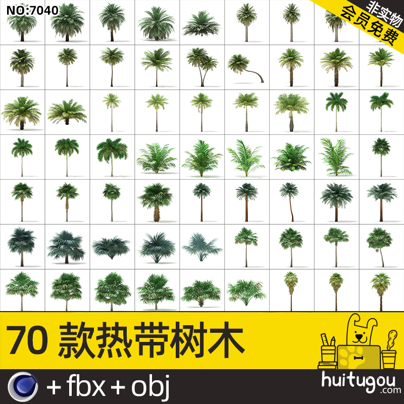 写实热带植物3D模型C4D棕榈树剑麻植物包FBX三维建模渲染设计素材