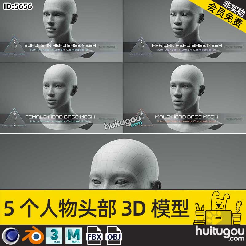 C4D人物头像基础头部3D模型MAYA男性女性角色头模白模MAX建模素材