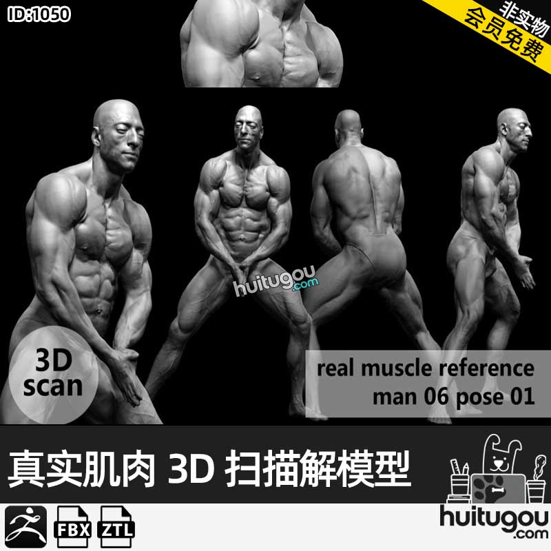 健身运动员真实肌肉3D扫描STL模型muscleanatomy Man06 pose 01