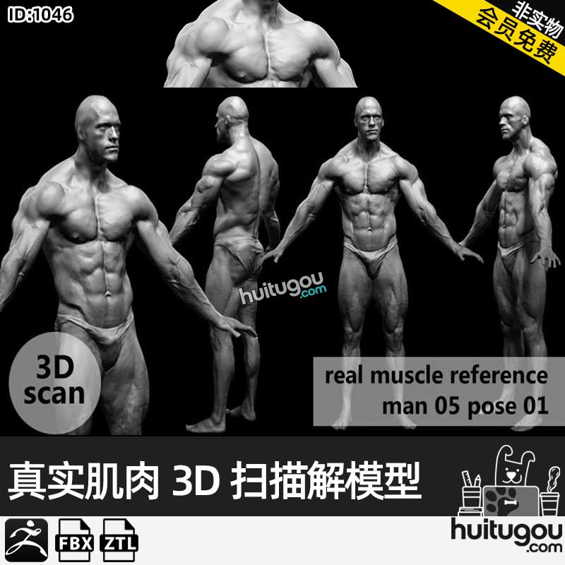 真实肌肉3D扫描解剖学姿势模型real muscleanatomy Man05 pose 01