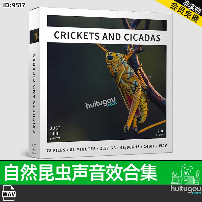 蚱蜢蟋蟀蝉等昆虫叫声田野树林夏日夜晚音效CRICKETS AND CICADAS