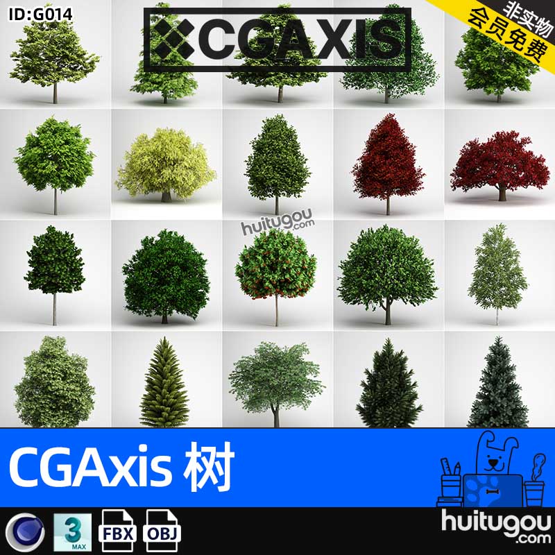 CGAXIS Trees-2[树]树木单体3D模型c4d max fbx obj素材源文件