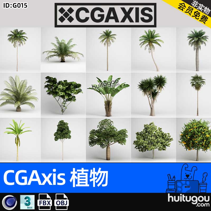 CGAXIS Plants[植物]热带植物椰树铁杉3D模型max c4d fbx obj素材