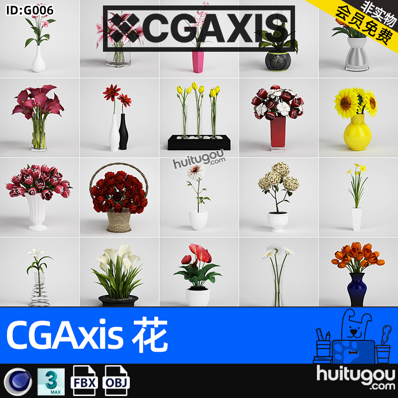 CGAXIS Flowers[花]花瓶插画棚子鲜花3D模型素材max c4d fbx obj