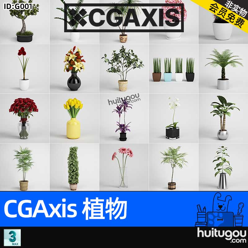 CGAxis Plants-1[植物]花卉盆栽盆景插花绿植装饰3D模型max-vray