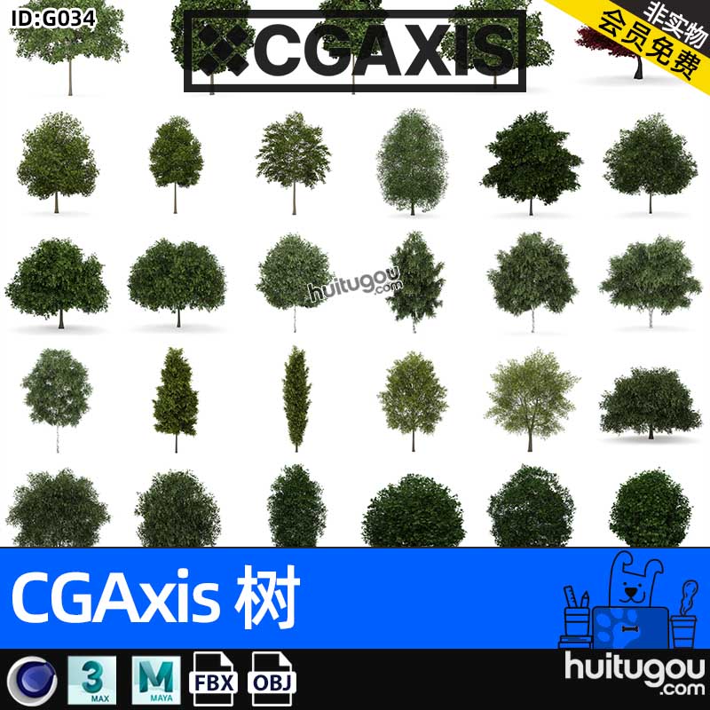 CGAXIS Trees-4[树]森林景观植物树木3D模型max c4d fbx obj素材