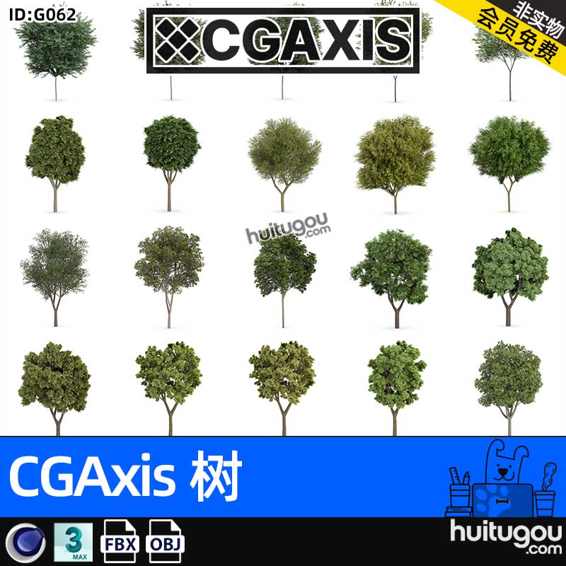 CGAXIS  Trees-6[树]森林植物树木3D模型C4D素材MAX FBX格式OBJ