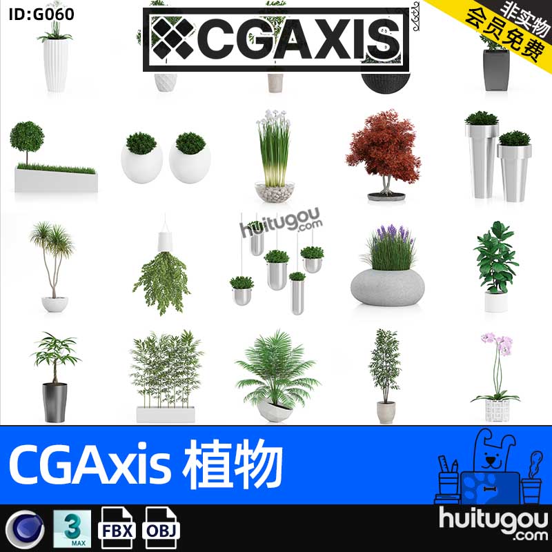 CGAXIS Plants-4[植物]现代装饰盆栽3D模型max素材C4D格式FBX OBJ