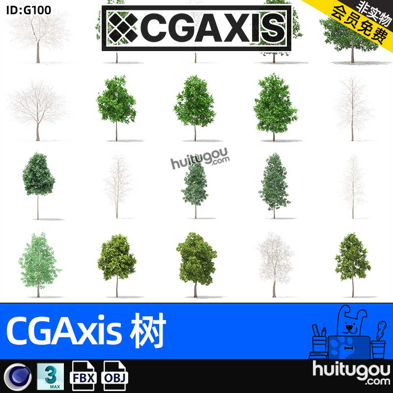 CGAXIS Trees-11[树]森林植物树木3D模型MAX素材C4D FBX格式OBJ