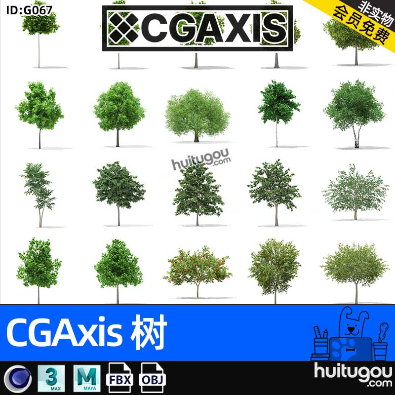 CGAXIS Trees-7[树]植物树木3D模型max素材C4D树木单体FBX格式FBX