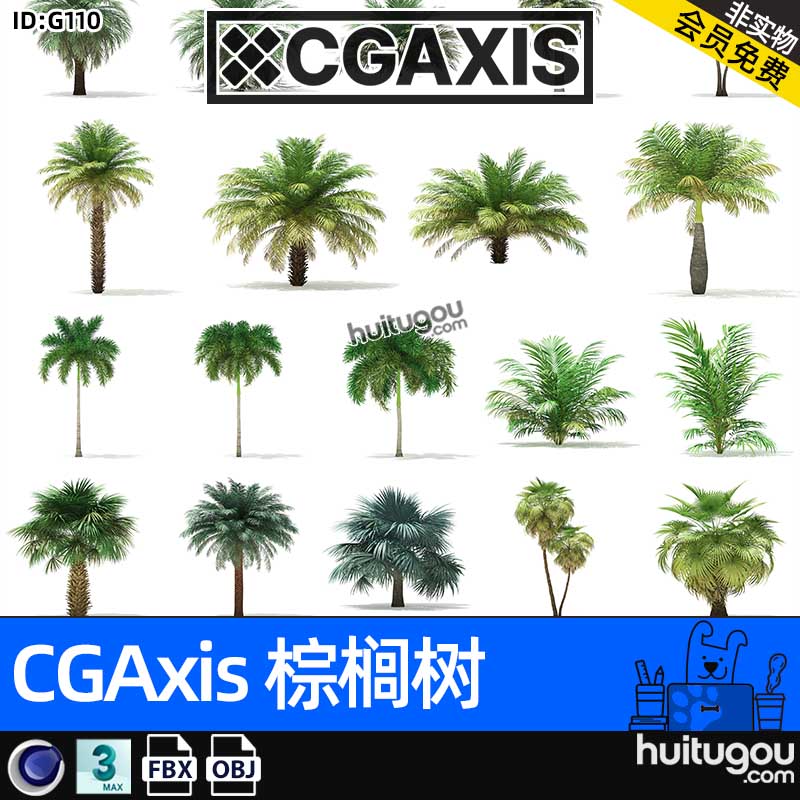 CGAXIS Palm Trees[棕榈树]热带植物棕榈树3D模型max素材C4D FBX