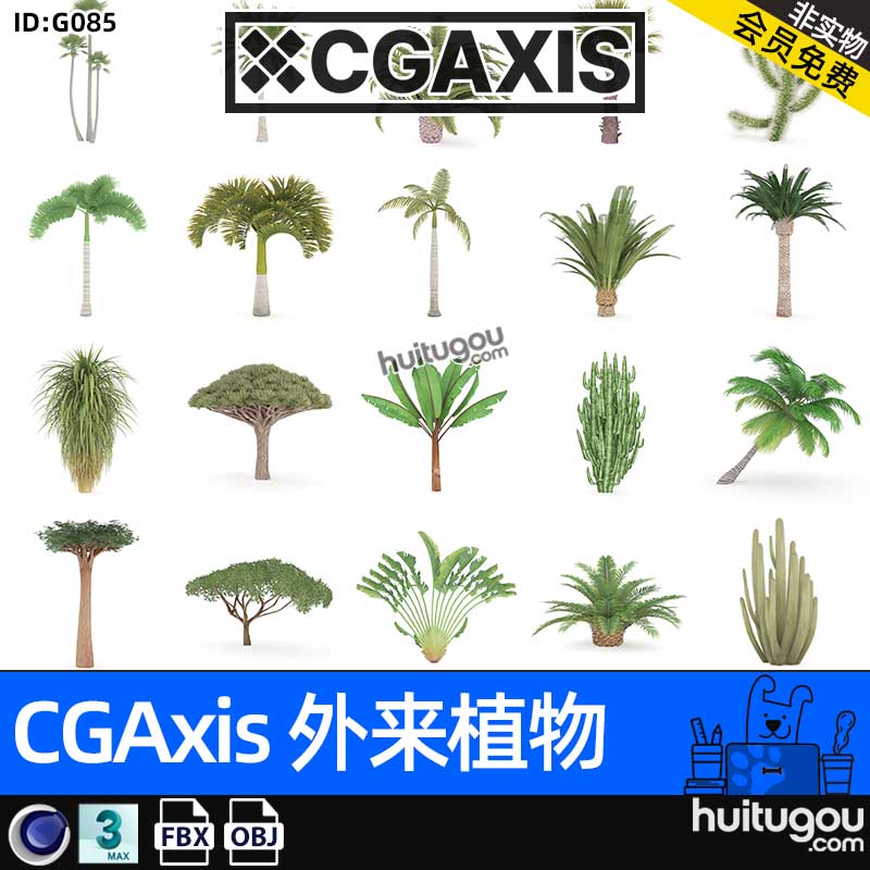 CGAXIS  Exotic Plants-2[外来植物]热带树木3D模型MAX椰树铁杉
