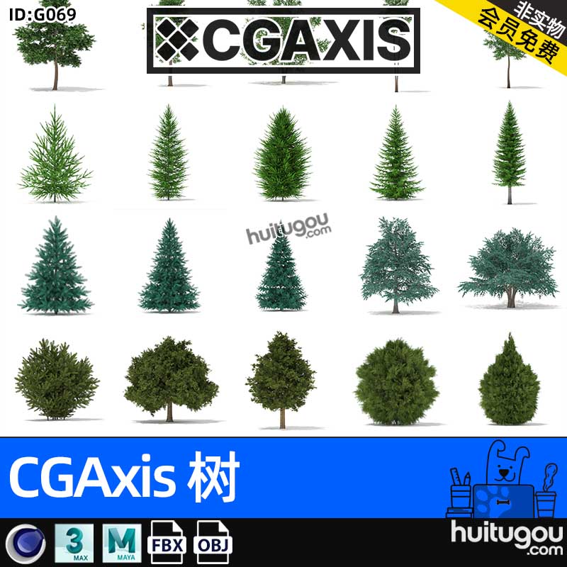 CGAXIS Trees-8[树]森林树木单体3D模型素材C4D素材maya FBX OBJ