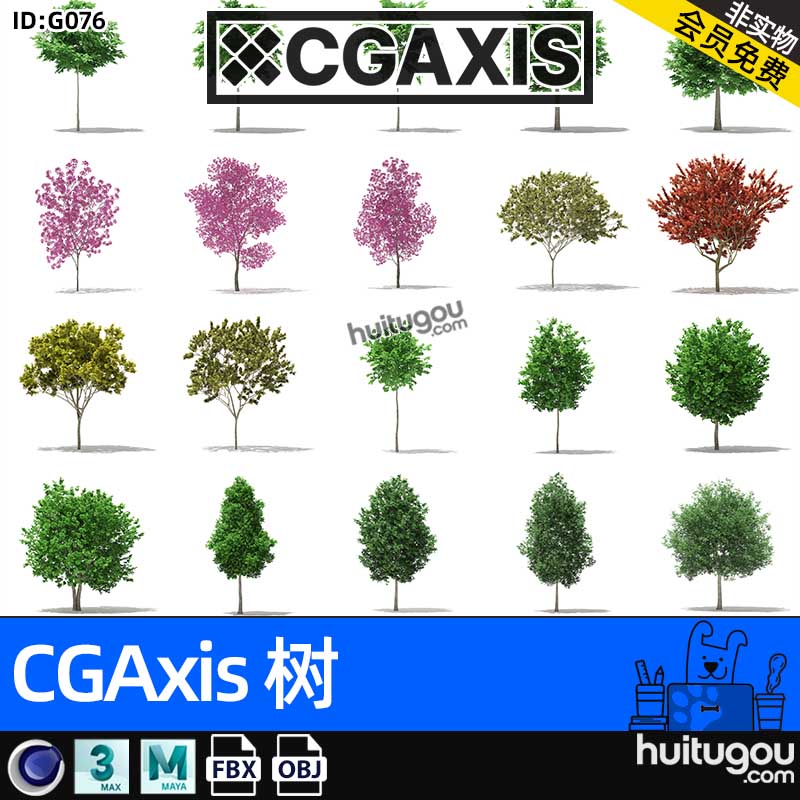 CGAXIS  Trees-10[树]森林树木单体3D模型MAX素材C4D格式FBX OBJ