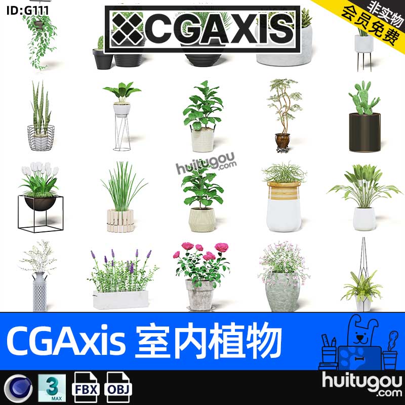 CGAxis Interior Plants-5[室内植物]装饰绿植仙人掌多肉盆栽模型