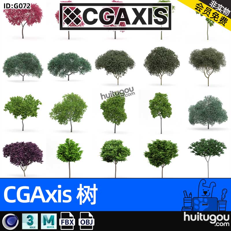 CGAXIS Trees-9[树]植物树木3D模型max植株单体C4D素材FBX格式OBJ