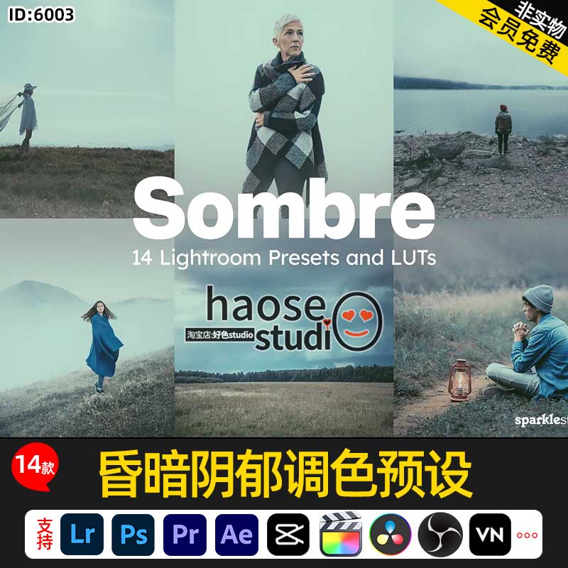 Lr调色预设PS昏暗忧郁自然风景人像LUTs短视频照片调色剪映达芬奇