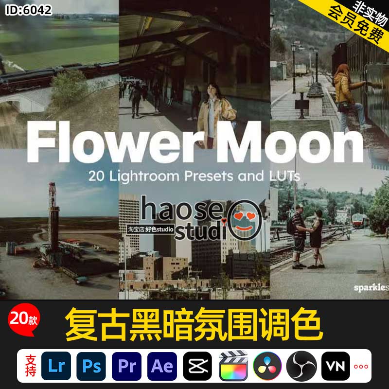 Lr预设包视频调色LUT预设达芬奇复古黑暗氛围调色20款Flower Moon