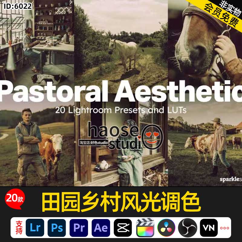 LR预设滤镜LUT温暖怀旧田园乡村风光调色20款Pastoral Aesthetic