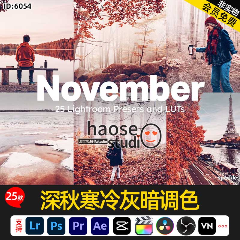 lightroom调色预设照片视频LUT预设深秋寒冷灰暗调色25款November