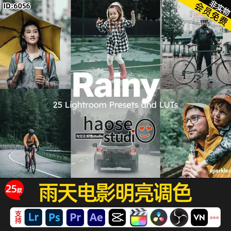 lr调色人像风景照片视频LUT预设 雨天电影清新明亮调色25款Rainy