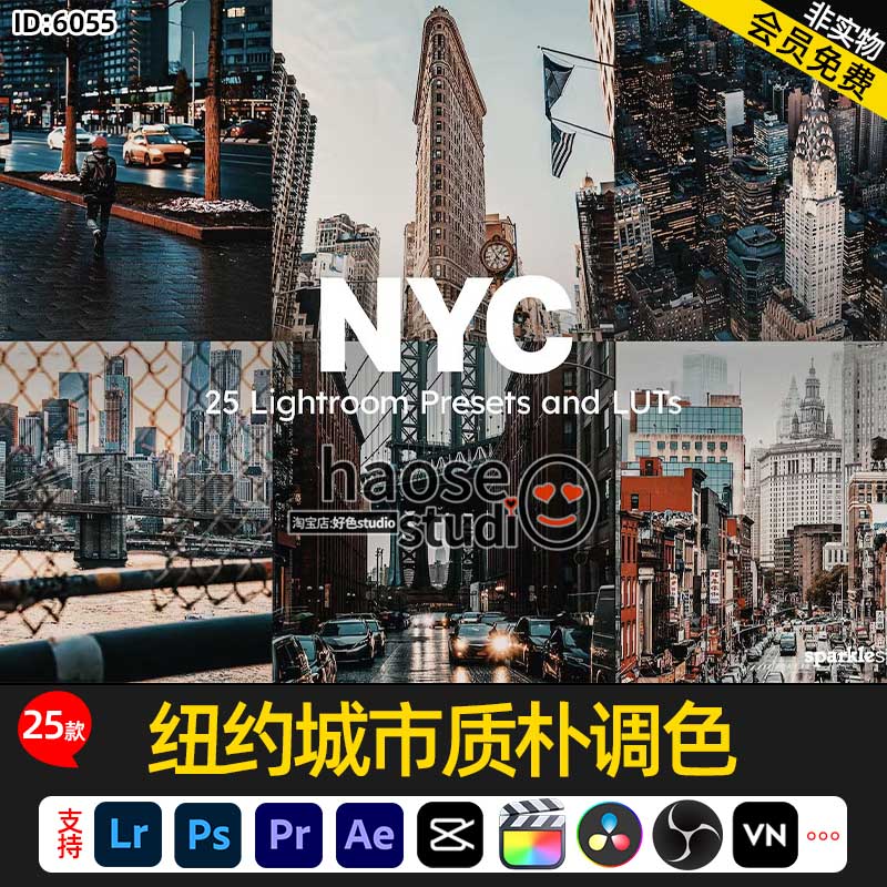 Lr旅拍调色ps滤镜视频LUT预设 美国纽约城市建筑质朴调色25款NYC