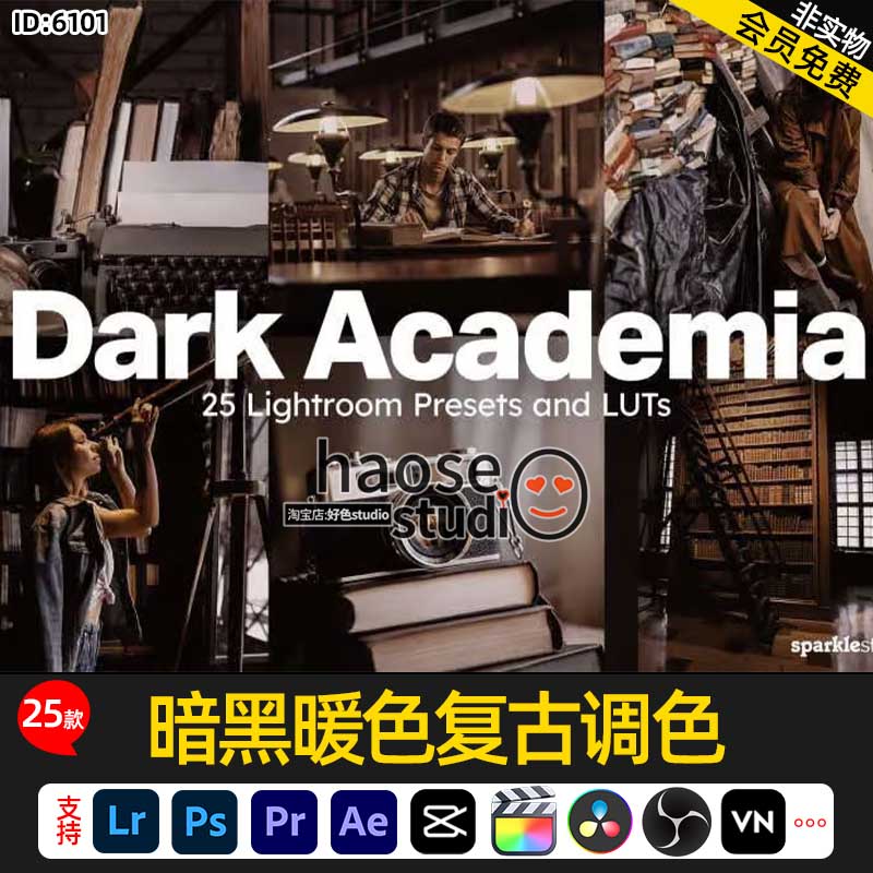 Lr预设摄影照片调色LUT预设pr暗黑暖色复古调色25款Dark Academia