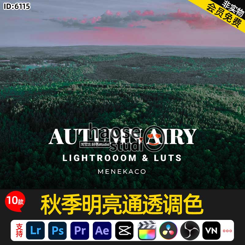 Lr调色预设PS修图滤镜LUT剪映pr秋季明亮通透调色10款Autumn Airy