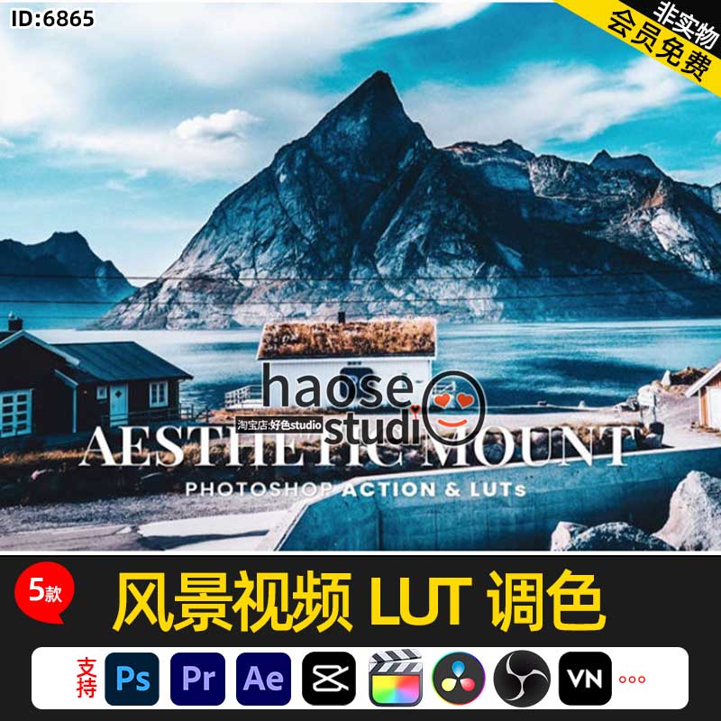 Pr剪映达芬奇FCPX调色LUT预设风景视频LUT调色5款aesthetic mount