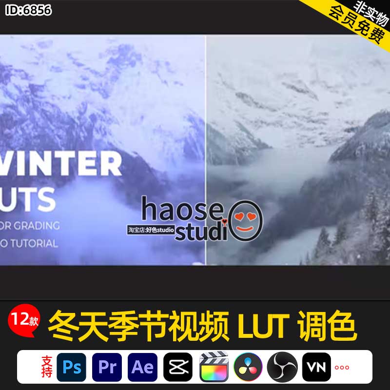 Pr剪映Ae达芬奇FCPX调色LUT 冬天季节视频LUT调色12款Winter LUTs