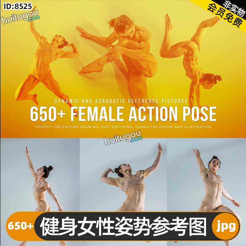 健身女性姿势参考图650+张 人物角色插画概念艺术CG设计建模雕刻