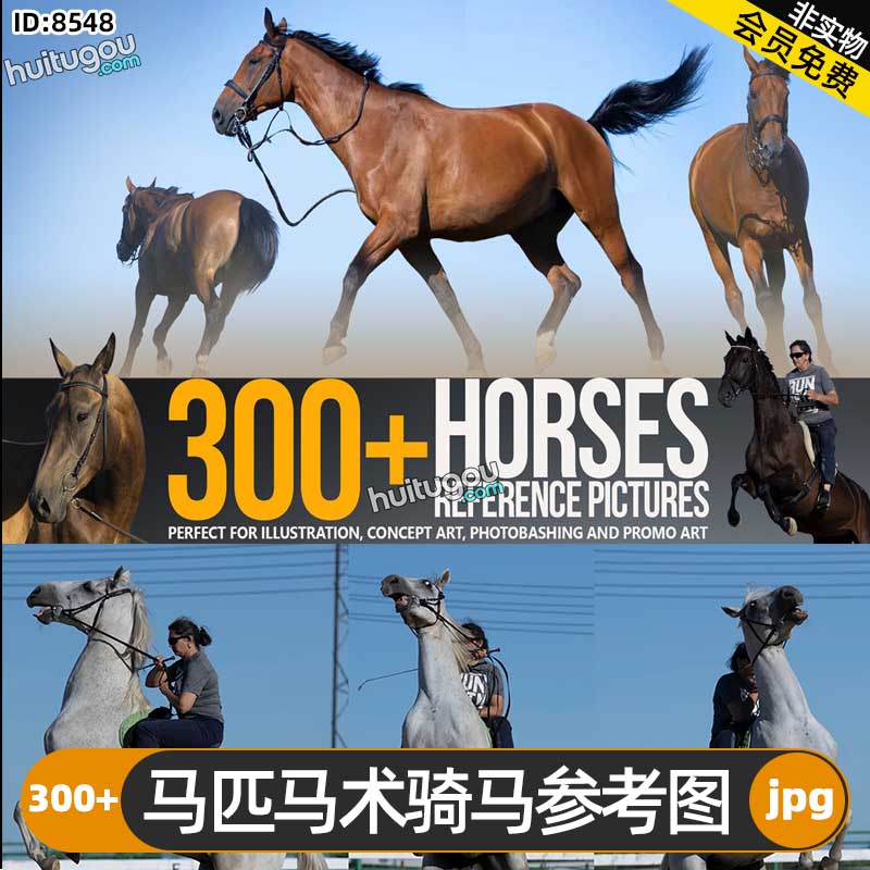 马匹马术骑马参考图300+张 绘画手绘素描插画概念艺术CG设计建模