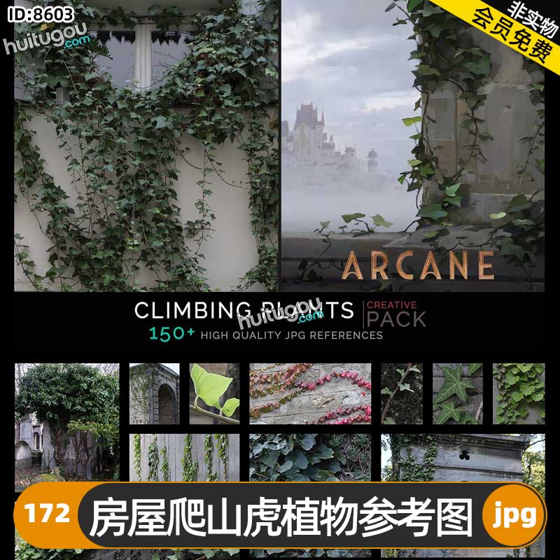 房屋爬山虎植物参考图172张 游戏影视插画海报概念CG设计建模雕刻