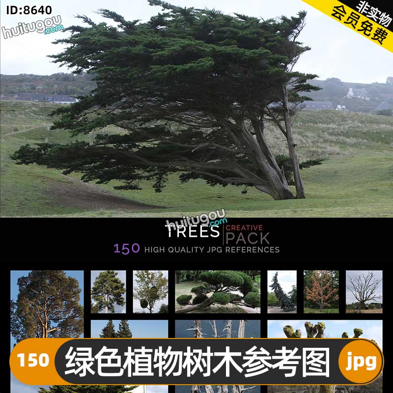 绿色植物树木参考图150张 游戏影视概念CG设计3D建模雕刻纹理参考