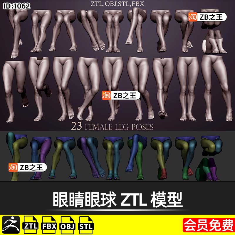 ZBrush女性大腿部姿势ZB模型ZTL格式FBX素材OBJ腿脚STL打印3D模型