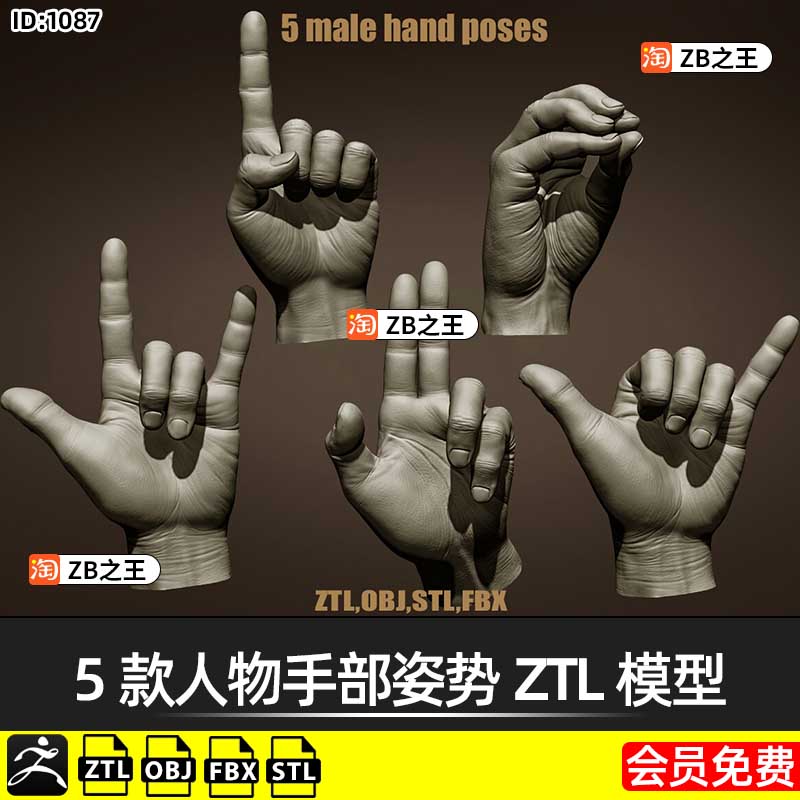 ZBrush模型ZTL格式5款人物手部手掌手指姿势ZTL模型3D打印STL素材