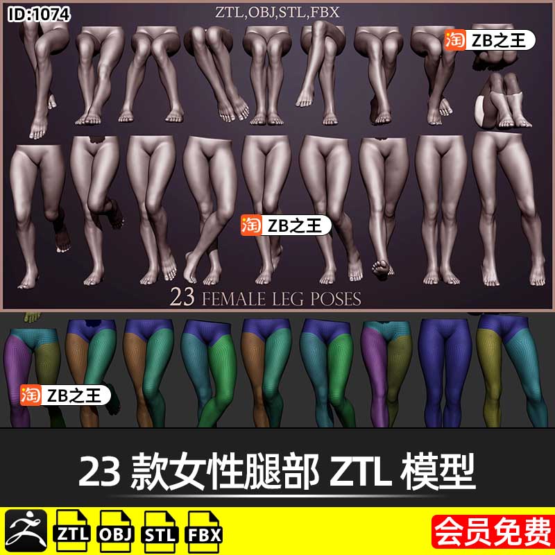 ZBrush笔刷ZB雕刻人物23款女性腿部腿脚ZTL模型STL格式3D打印素材
