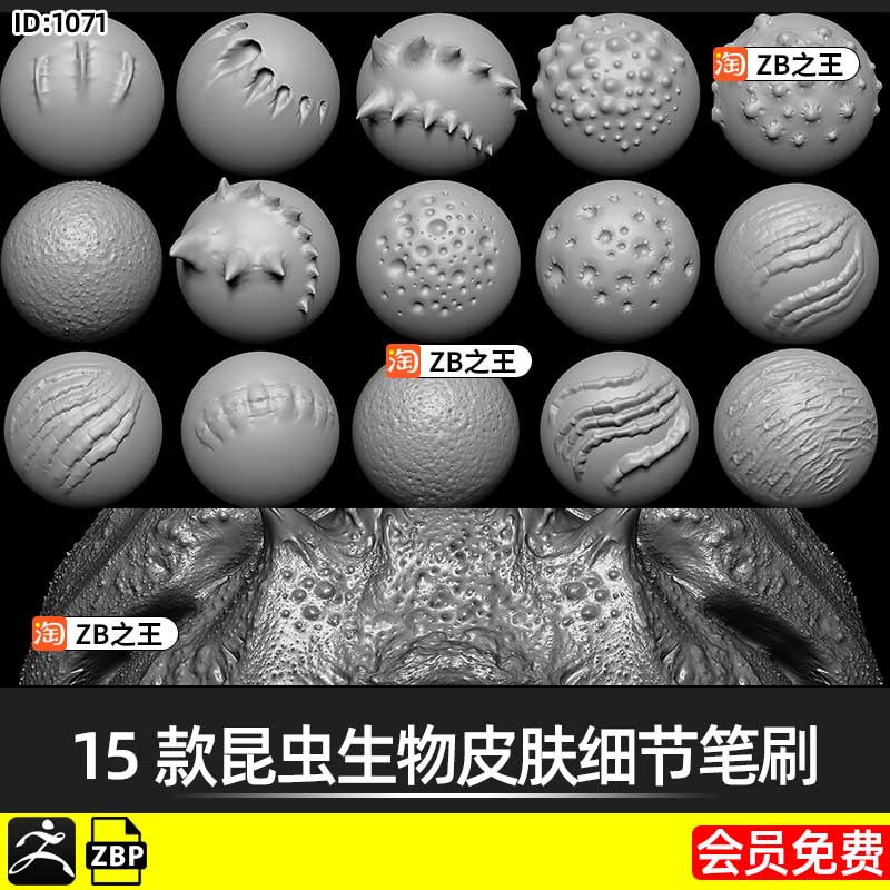 ZBrush笔刷ZB甲壳动物雕刻15款昆虫甲虫生物皮肤尖刺细节zbp笔刷
