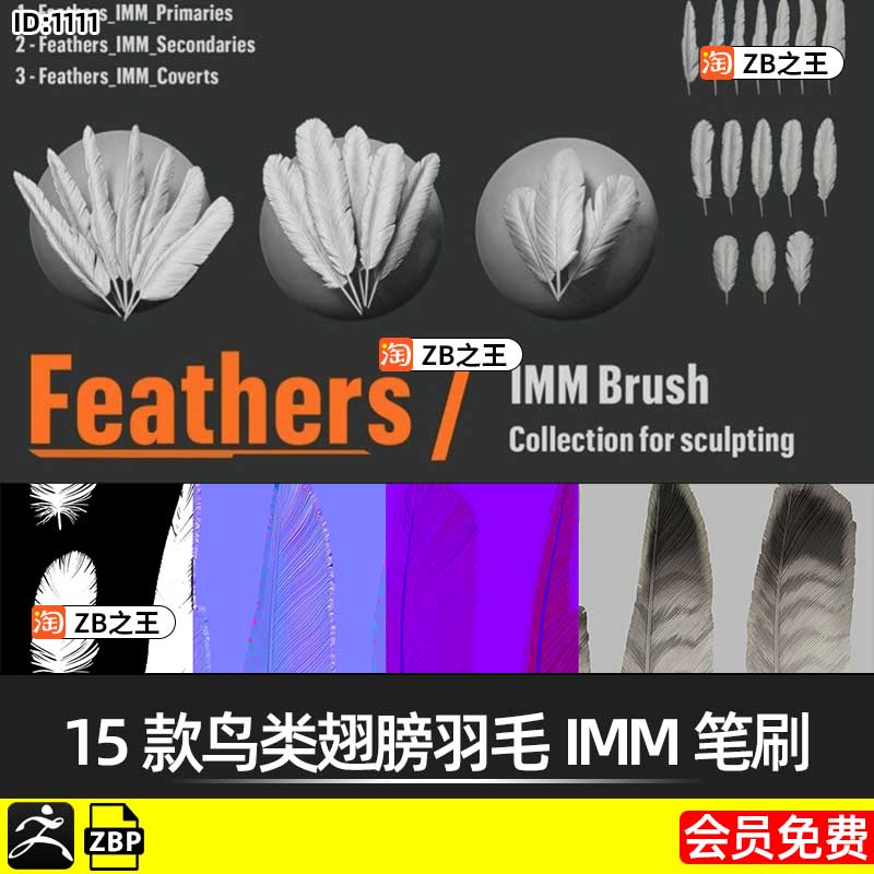 ZBrush笔刷15款鸟类翅膀羽毛IMM笔刷ZB雕刻建模鸟儿zbp格式素材