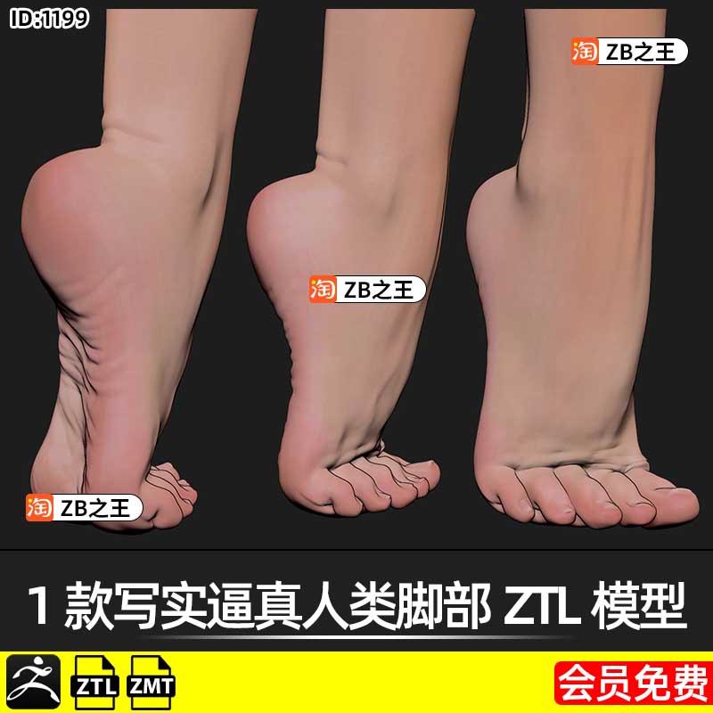 ZBrush模型1款写实逼真人类女性脚部脚掌ZTL模型ZB素材 带ZMT材质