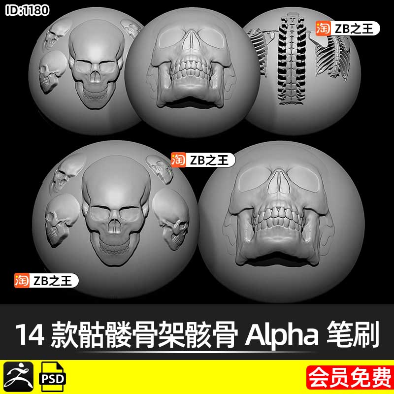 ZBrush素材14款骷髅骨架骨头骸骨Alpha笔刷ZB建模雕刻PSD纹理贴图