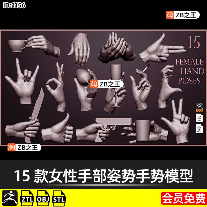 ZBrush模型15款女性手部握拿姿势手势ZTL模型3D素材STL格式OBJ