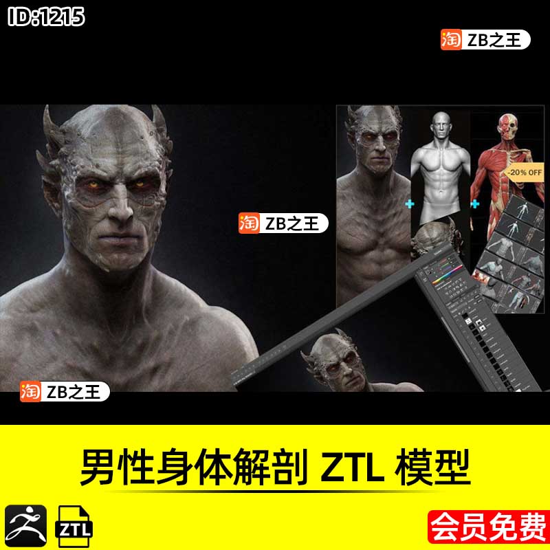 ZBrush工程文件男性人物人体身体解剖ZTL预设模型ZB建模雕刻素材