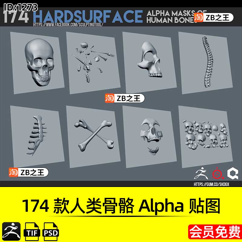 ZBrush素材174款人类头颅骨骼骸骨Alpha贴图纹理PSD格式ZB雕刻
