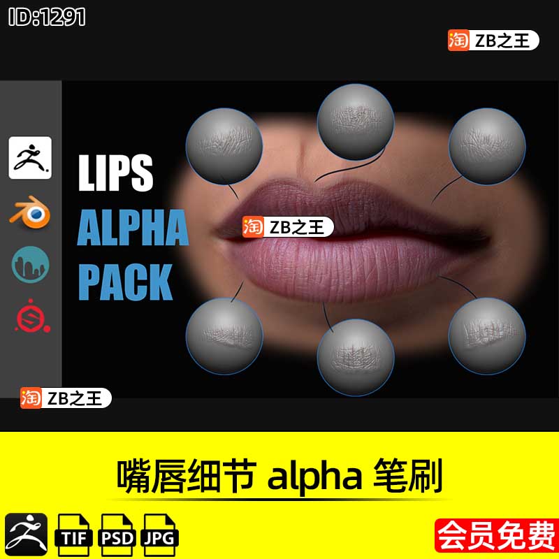 ZBrush素材嘴唇细节唇印alpha笔刷ZB人物角色雕刻TIF/JPG置换贴图