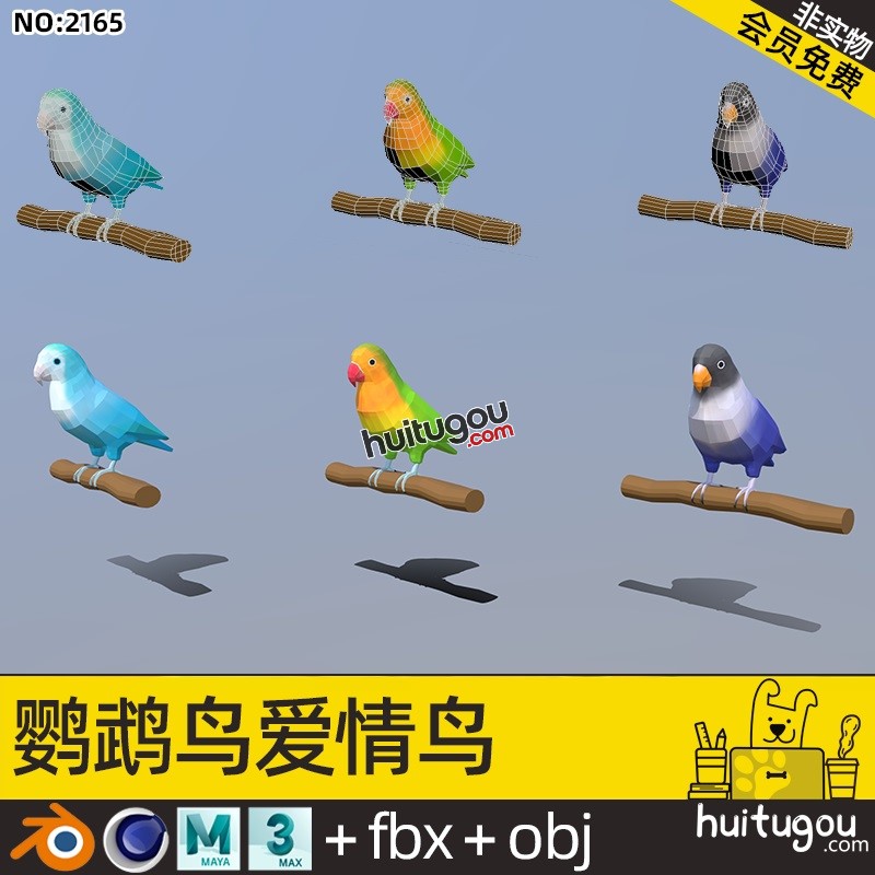 低面鹦鹉鸟类Blender爱情鸟儿C4D卡通宠物birds素材FBX OBJ源文件