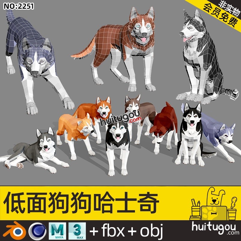 3D卡通模型 低面风格哈士奇C4D狗狗模型二哈Blend素材文件OBJ格式
