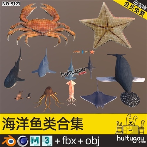 海洋动物C4D模型Blend鲨鲸鱼螃蟹海马海星海象海豹章鱼鱿鱼OBJ mb