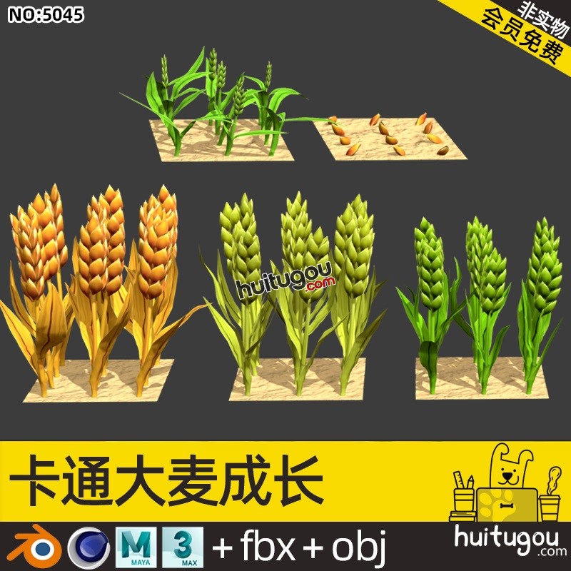 卡通大麦成长过程Blender麦秆麦子麦田C4D模型OBJ FBX MAX 3D素材